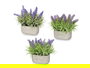 Ibergarden Jardinera Cemento Lavanda Surtidos 31x20x16 cm, Morado/Verde, Plastico/Cemento/Corcho (Set de 16)