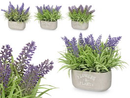 Ibergarden Jardinera Cemento Lavanda Surtidos 31x20x16 cm, Morado/Verde, Plastico/Cemento/Corcho (Set de 16)