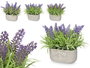 Ibergarden Jardinera Cemento Lavanda Surtidos 31x20x16 cm, Morado/Verde, Plastico/Cemento/Corcho (Set de 16)