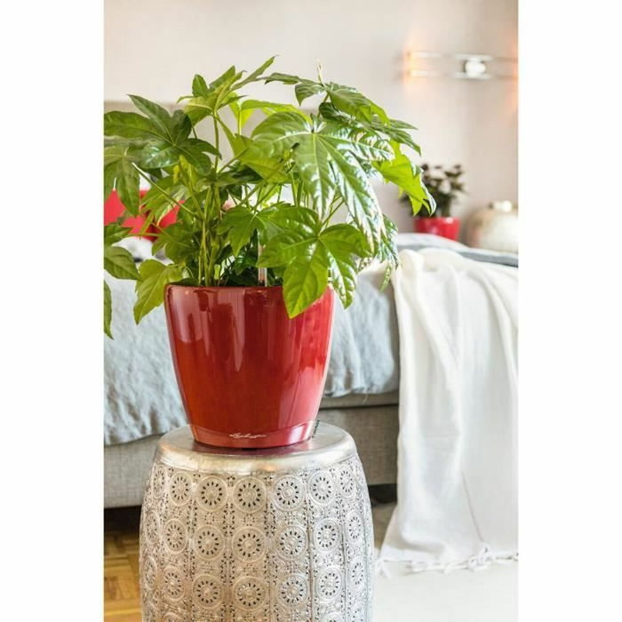 LECHUZA Jardinera Classico premium LS 21 Rojo escarlata brillante Kit completo 3 L LECHUZA Jardinera Classico premium LS 21 Rojo escarlata brillante Kit completo 3 L