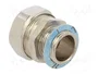 HELLERMANNTYTON Conector final recto M20 HelaGuard PCS-EI