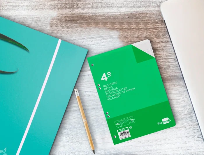 Liderpapel Recambio Cuarto 100 Hojas 60gr Horizontal con Margen 6 Taladros