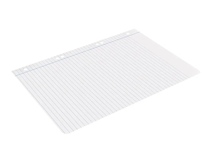 Liderpapel Recambio Cuarto 100 Hojas 60gr Horizontal con Margen 6 Taladros