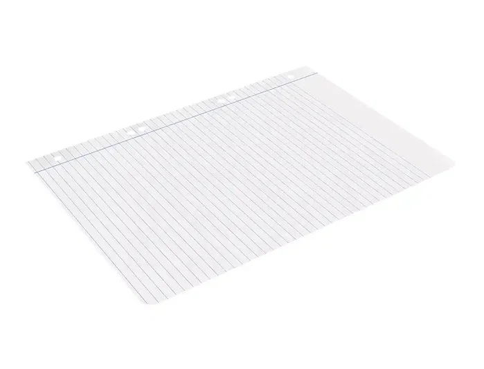 Liderpapel Recambio Cuarto 100 Hojas 60g Horizontal con Margen y 6 Taladros