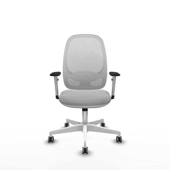 PIQUERAS Y CRESPO Silla de oficina Cilanco con mecanismo Sincro, Gris claro y Blanco PIQUERAS Y CRESPO Silla de oficina Cilanco con mecanismo Sincro, Gris claro y Blanco