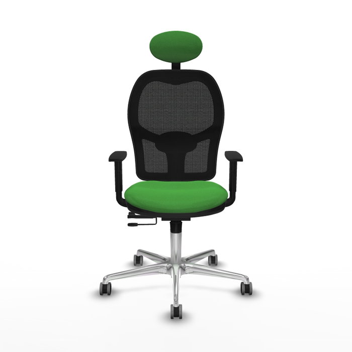 PIQUERAS Y CRESPO Silla de oficina Jorquera Verde con mecanismo Sincro/Traslack PIQUERAS Y CRESPO Silla de oficina Jorquera Verde con mecanismo Sincro/Traslack