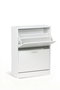 Inde Mueble Zapatero 2 Niveles Color Blanco