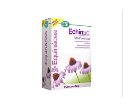 Echinaid 60 Cap.