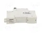 Promfactor Baltic Interruptor magnetotérmico ECO 63A 1 Polo Característica C