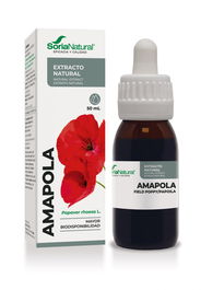 Extracto Amapola S.Xxi