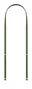 Apple Correa Crossbody Verde