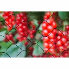 Nature Primo red anti-pájaros 5x2m negra