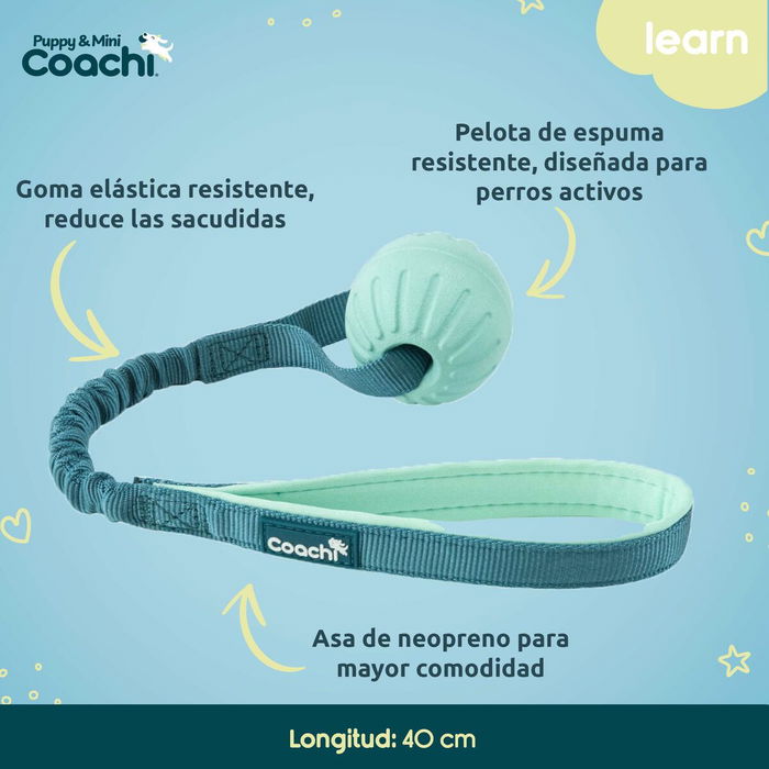 Arnés para Perro Coachi