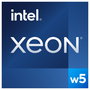 Intel Xeon w5-2565X Procesador 3,2 GHz 37,5 MB Smart Cache Bandeja