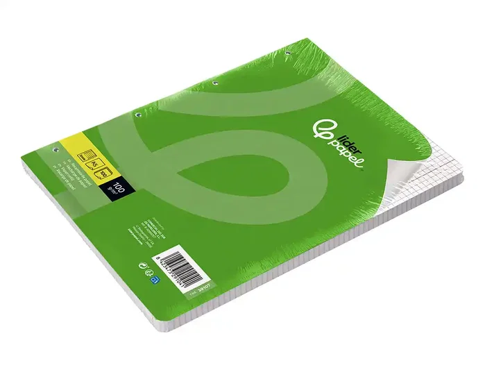 Liderpapel Recambio A5 Cuadro 5mm con Margen y 6 Taladros, 100 Hojas, 100g Liderpapel Recambio A5 Cuadro 5mm con Margen y 6 Taladros, 100 Hojas, 100g