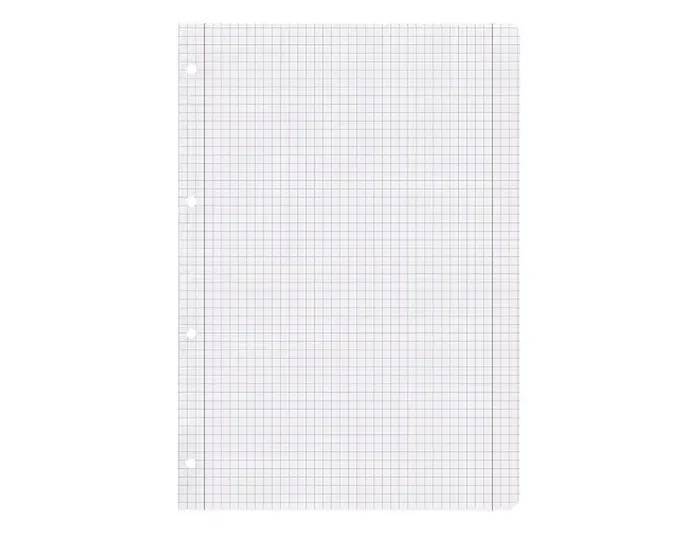 Liderpapel Recambio A5 Cuadro 5mm con Margen y 6 Taladros, 100 Hojas, 100g Liderpapel Recambio A5 Cuadro 5mm con Margen y 6 Taladros, 100 Hojas, 100g