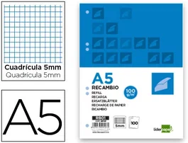 Liderpapel Recambio A5 Cuadro 5mm con Margen y 6 Taladros, 100 Hojas, 100g