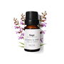 Daffoil Aceite Esencial de Salvia 10 ml - 100% Natural para Aromaterapia y Bienestar