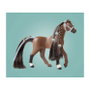 Playmobil 71355 Set Granja Horses of Waterfall con Zoe & Blaze y Pista de Carreras para Niños de 5 a 12 Años