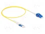 DeLOCK Cable de fibra óptica CS a LC Duplex UPC Singlemode OS2 0,5 m