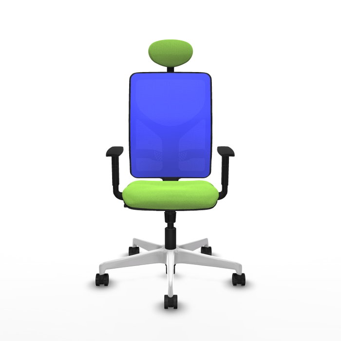 PIQUERAS Y CRESPO Silla de oficina Motilla con mecanismo Sincro, color Pistacho y Azul PIQUERAS Y CRESPO Silla de oficina Motilla con mecanismo Sincro, color Pistacho y Azul