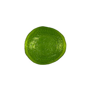 Summa Goga Plato Verde 17x16 cm (Set de 6) Summa Goga Plato Verde 17x16 cm (Set de 6)