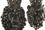 DKD Home Decor Figura de Resina León y Leona con Corona, Pack de 2
