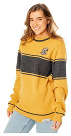 Harry Potter Sudadera niño Hufflepuff Varsity Talla XL