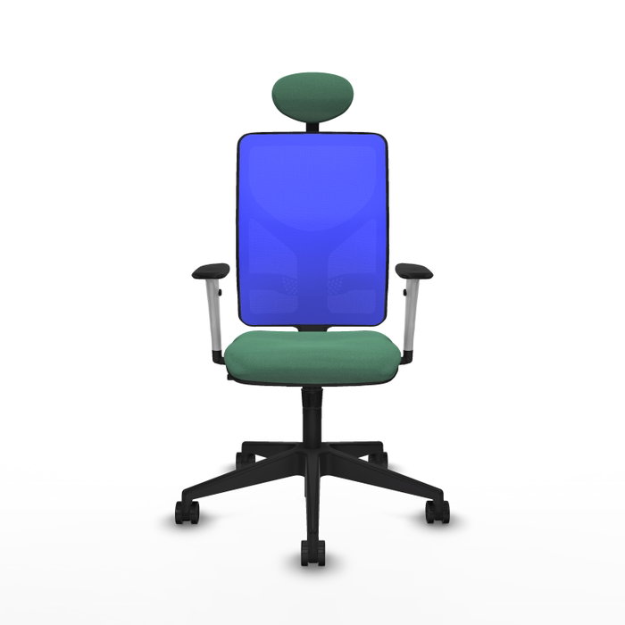 PIQUERAS Y CRESPO Silla de oficina Motilla con Mecanismo Sincro, Verde Esmeralda y Azul PIQUERAS Y CRESPO Silla de oficina Motilla con Mecanismo Sincro, Verde Esmeralda y Azul