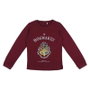 Pijama Largo Single Jersey Harry Potter Rojo 10 Años