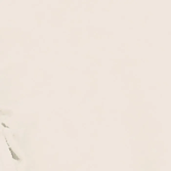 Candide CAN3275051535703 Funda para Cambiador, Tejido de Rizo, 50 x 75 cm, Color Blanco Candide CAN3275051535703 Funda para Cambiador, Tejido de Rizo, 50 x 75 cm, Color Blanco