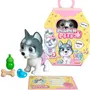 Smoby Pamper Petz Husky para Adoptar Articulado Juguete con Accesorios Certificado de Adopción para Niños y Niñas a Partir de 3 Años AAABK62987