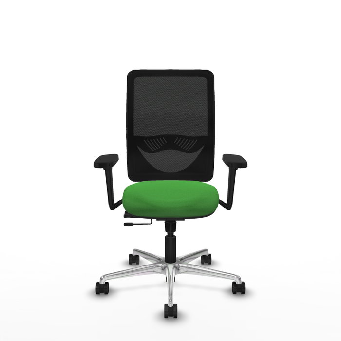 PIQUERAS Y CRESPO Silla de oficina Zulema Verde y Negro con Mecanismo Sincro/Traslack PIQUERAS Y CRESPO Silla de oficina Zulema Verde y Negro con Mecanismo Sincro/Traslack