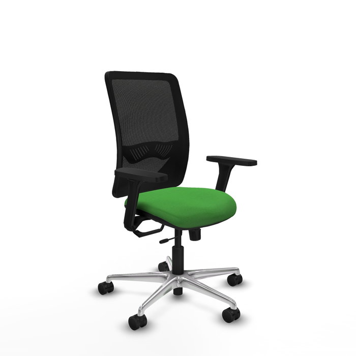 PIQUERAS Y CRESPO Silla de oficina Zulema Verde y Negro con Mecanismo Sincro/Traslack PIQUERAS Y CRESPO Silla de oficina Zulema Verde y Negro con Mecanismo Sincro/Traslack