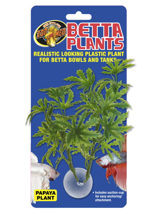 Nayeco Betta Plant Papaya Nayeco Betta Plant Papaya