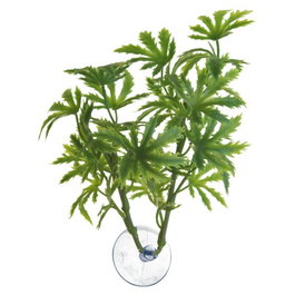 Nayeco BETTA PLANT PAPAYA plant de acuario de 325g