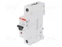 ABB SZ201-C6 Interruptor Magnetotérmico 1 Polo 6A
