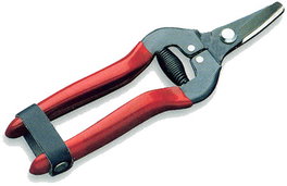 PLUVIA Tijera de Cítricos 7 pulg 175 mm Hoja Recta Corta PLCT07
