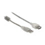 DeLOCK Cable de extensión USB 2.0 A/A 0,3 m Transparente