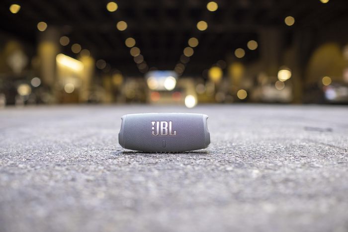 JBL Charge 5 Altavoz Bluetooth Portátil Gris