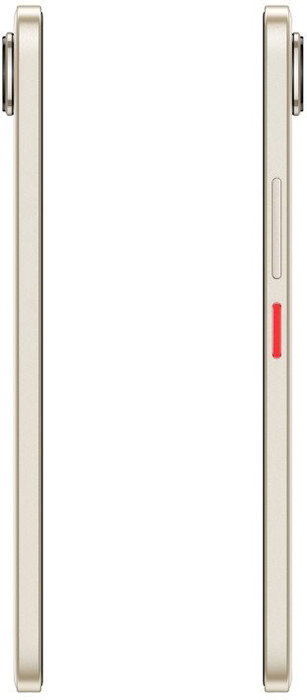 ZTE Nubia Z2468N Arena 20 GB 256 GB