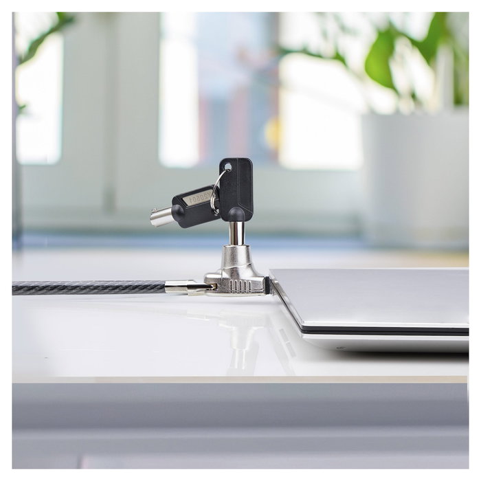 StarTech Cable de Seguridad para Portátil Compatible con Noble Wedge Slot, 2m, Antirrobo con Llave, Corte Resis, Negro - TAA StarTech Cable de Seguridad para Portátil Compatible con Noble Wedge Slot, 2m, Antirrobo con Llave, Corte Resis, Negro - TAA