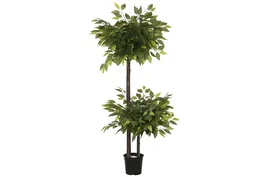 DKD Home Decor Árbol Ficus de 2 Copas con Maceta Negra