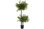 DKD Home Decor Árbol Ficus de 2 Copas con Maceta Negra