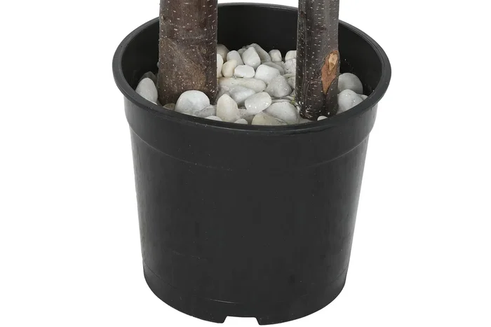 DKD Home Decor Árbol Ficus de 2 Copas con Maceta Negra