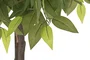 DKD Home Decor Árbol Ficus de 2 Copas con Maceta Negra