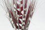 DKD Home Decor Ramo Fibra Coco 35x20x100 Surtido de 2 Unidades