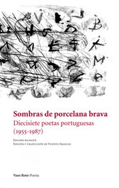 Sombras de porcelana brava, Vicente Araguas - VASO ROTO