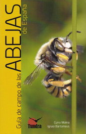 TUNDRA, GUÍA DE CAMPO DE LAS ABEJAS DE ESPAÑA - Molina, Curore / Bartomeus, Ignasi
