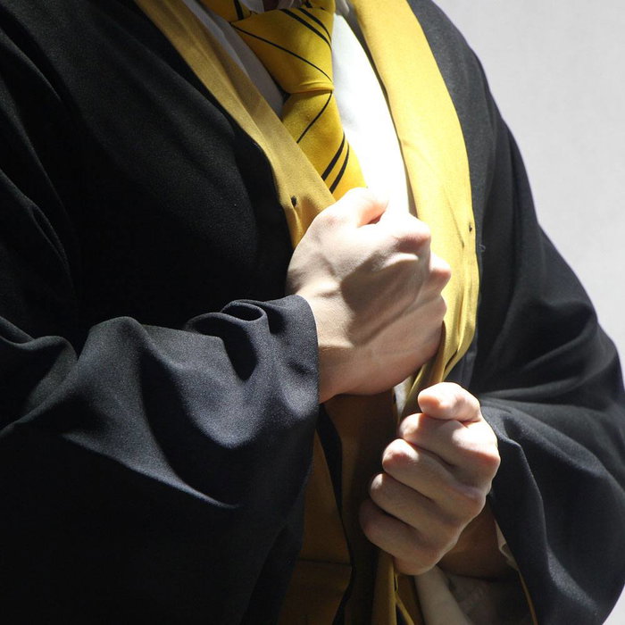 Harry Potter Vestido de Mago Hufflepuff talla L Harry Potter Vestido de Mago Hufflepuff talla L